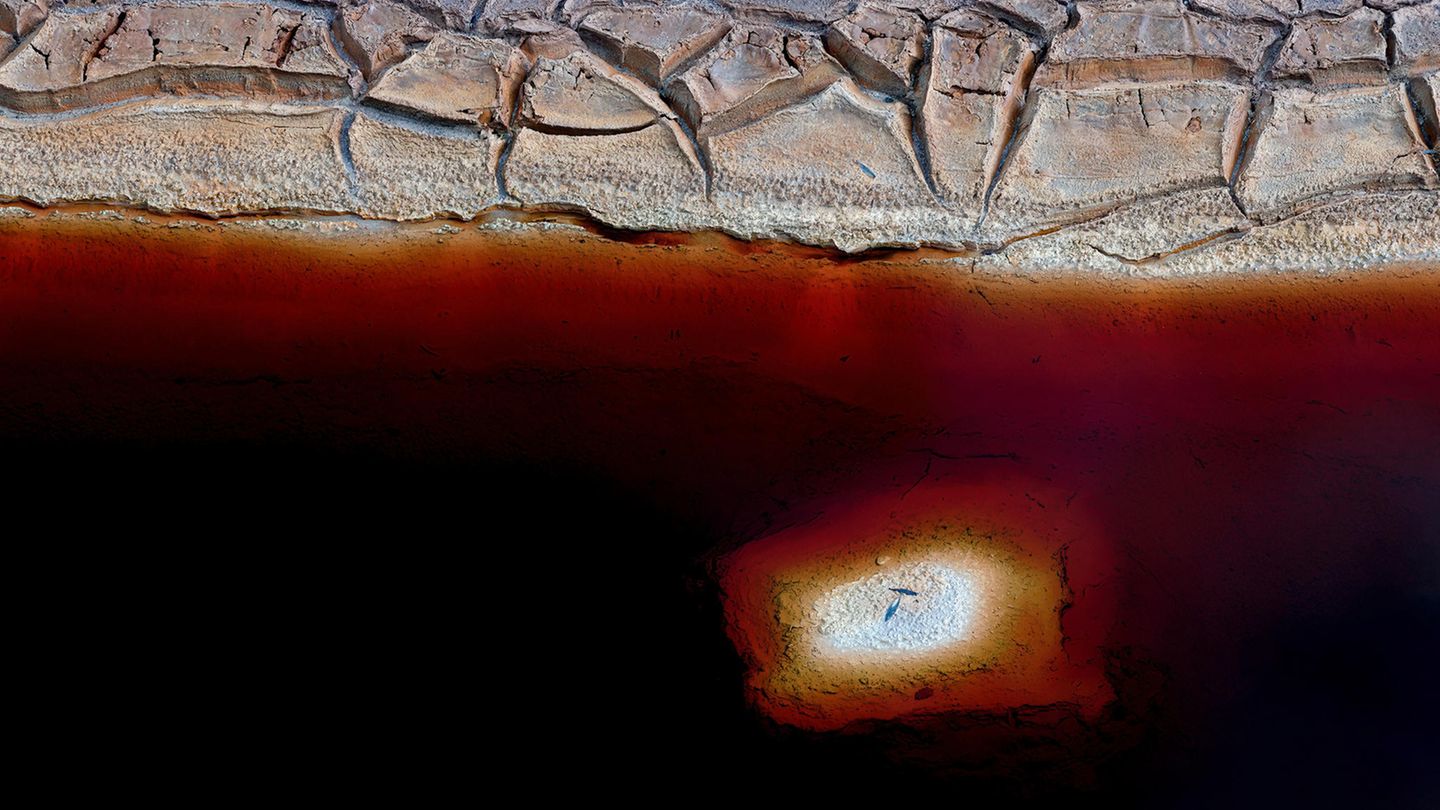 Projekt des Jahres, Platz 2: "Träumen in Rot", Luís Afonso Natural Landscape Photography Awards / Luís Afonso