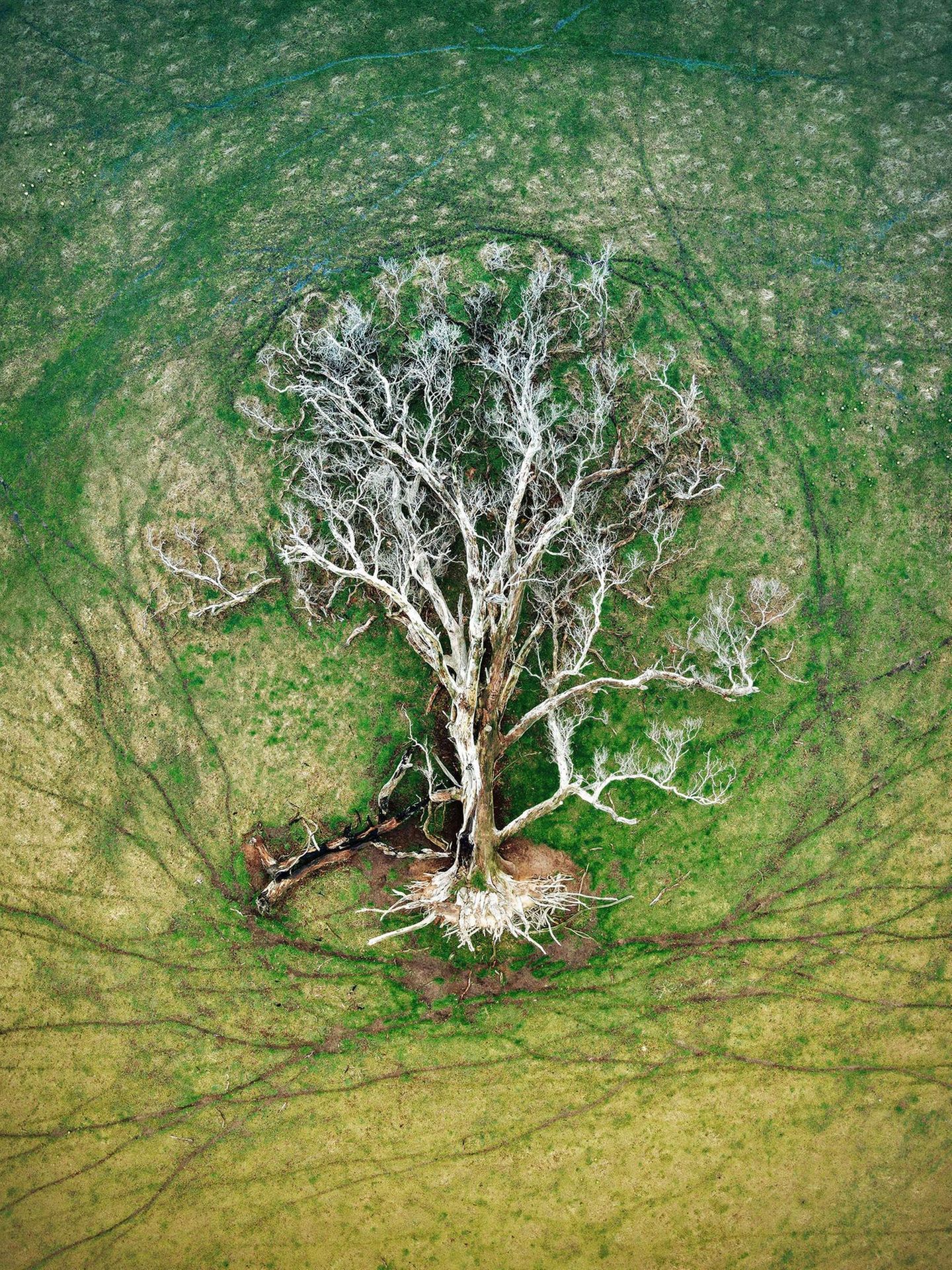 Gewinnerin der Kategorie "Aus der Luft": Julie Kenny Natural Landscape Photography Awards / Julie Kenny