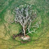 Natural Landscape Photography Awards / Julie Kenny