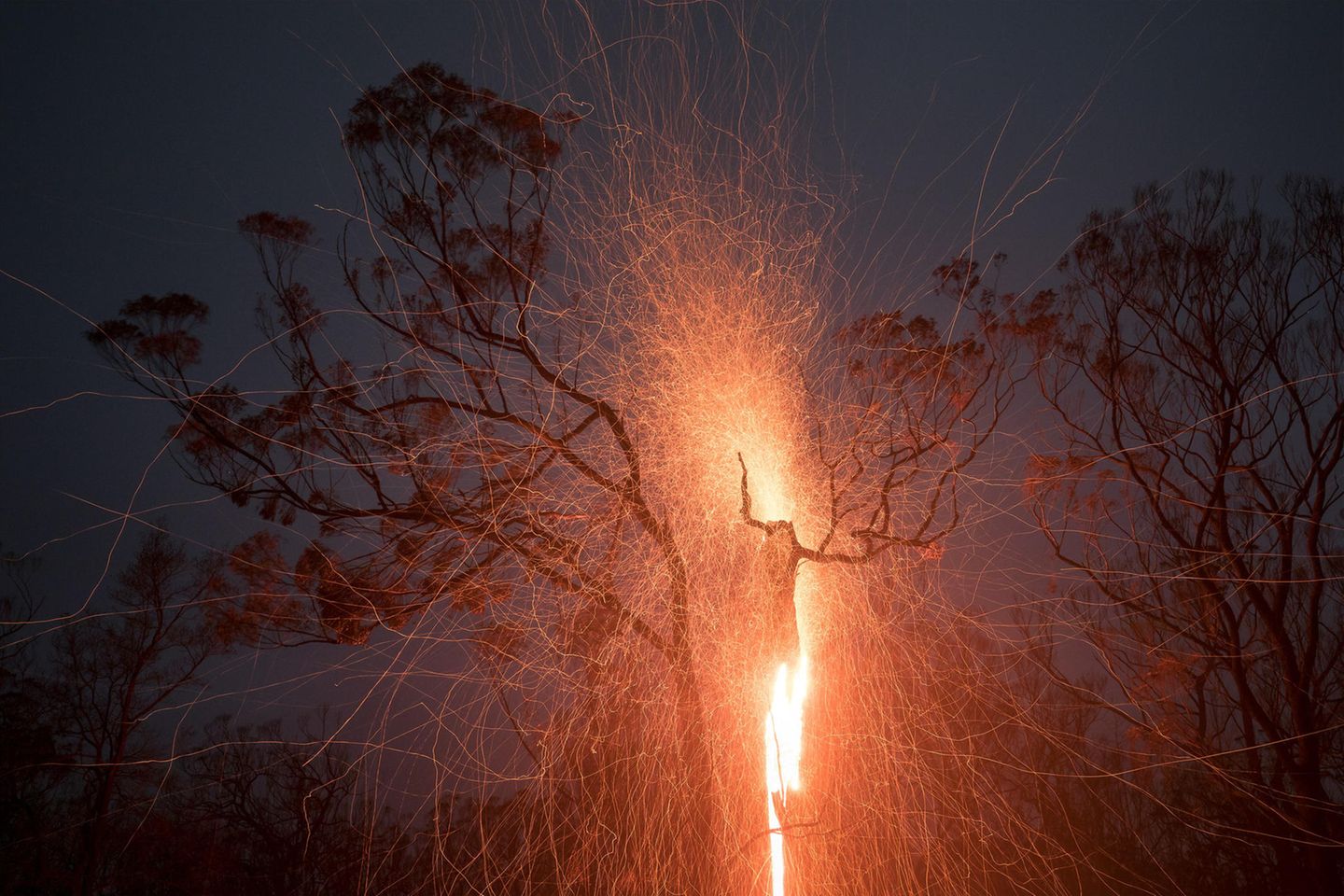 Gewinner der Kategorie "Umwelt": Samuel Markham Natural Landscape Photography Awards / Samuel Markham