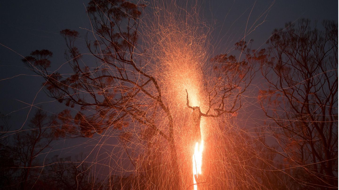 Gewinner der Kategorie "Umwelt": Samuel Markham Natural Landscape Photography Awards / Samuel Markham