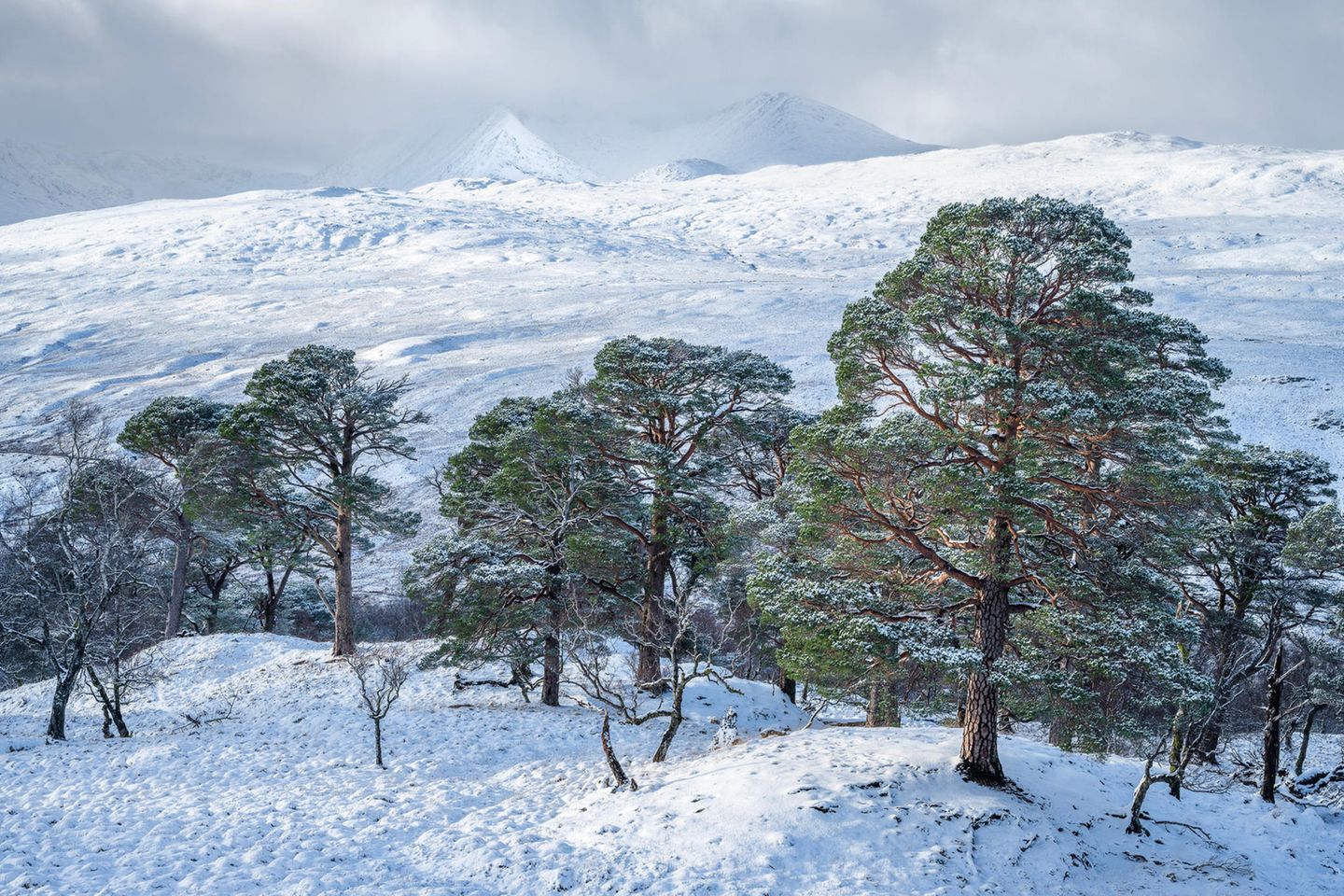 Natural Landscape Photography Awards / Brian Pollock