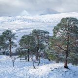 Natural Landscape Photography Awards / Brian Pollock