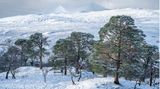 Natural Landscape Photography Awards / Brian Pollock