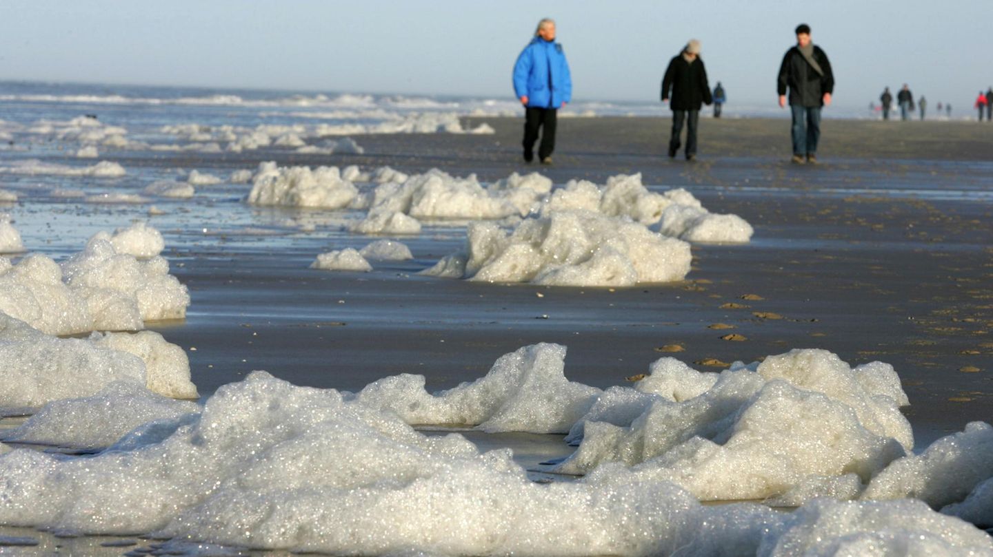 Schaum am Strand der Nordsee tritt vor allem im Frühjahr auf. Er ist die Folge einer Algenblüte