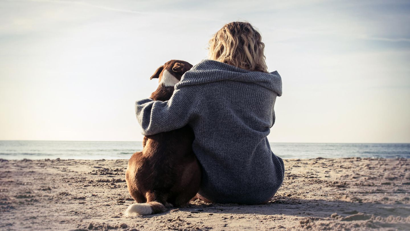 Hund und Frau sitzen am Strand