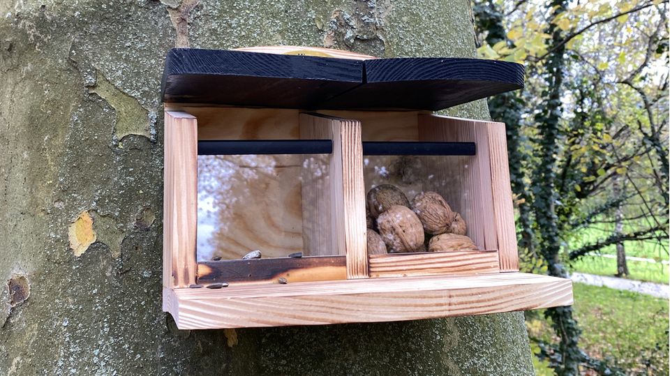 Mit solchen Futterspendern sollen die Nager auf die Brücken aufmerksam gemacht werden