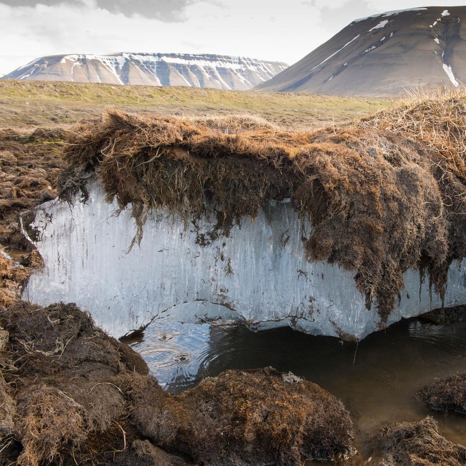 Auftauender Permafrost
