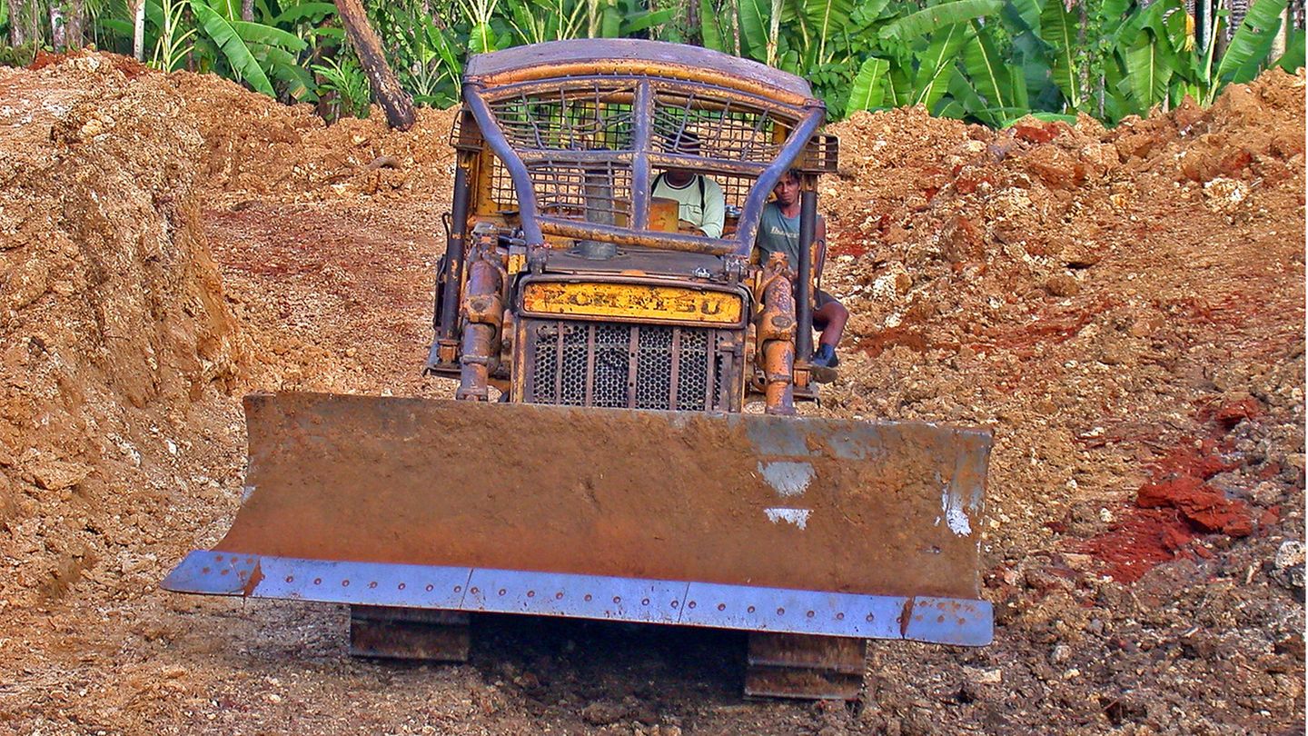 Raubbau am Regenwald - hier in Sulawesi, Indonesien - trägt zum weltweiten Artensterben bei