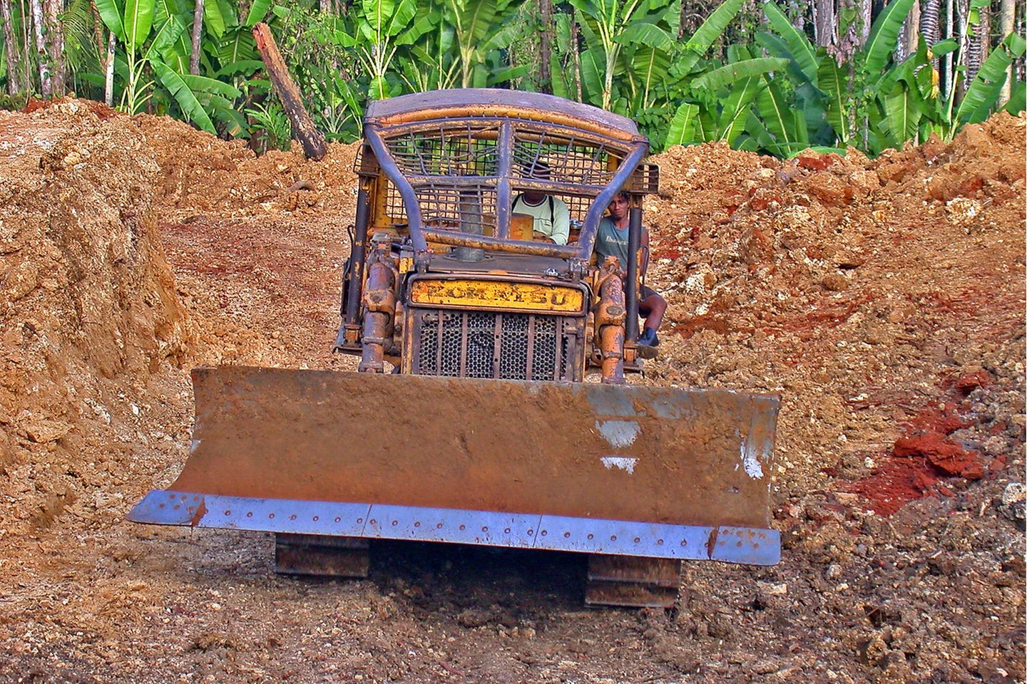 Raubbau am Regenwald - hier in Sulawesi, Indonesien - trägt zum weltweiten Artensterben bei