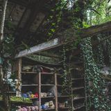 HPOTY Overall Winner - Steve Liddiard - Welsh Wool Mill