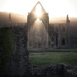 HPOTY Overall Shortlist - Sam Binding - Tintern Abbey