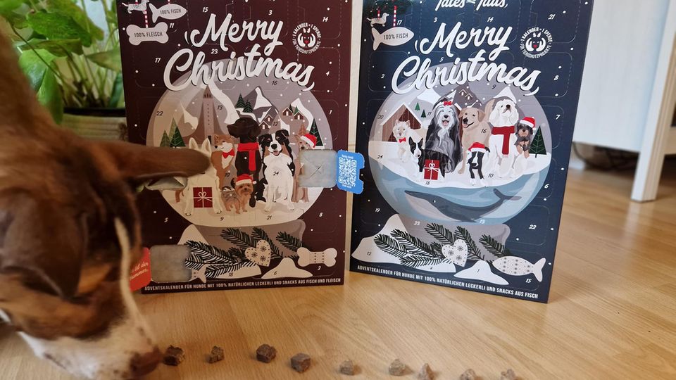 Adventskalender für Hunde: Eine Reihe Snacks liegt vor zwei aufgestellten Hunde-Adventskalendern.