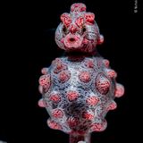 Bali, Indonesien: Zwerg-Seepferdchen machen ihrem Namen alle Ehre: Sie erreichen nur eine Größe von höchstens zwei Zentimetern. Dieses männliche Tier ist zudem schwanger – und wird in etwa zwei Wochen lebende Junge zur Welt bringen