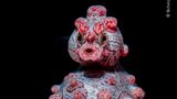 Bali, Indonesien: Zwerg-Seepferdchen machen ihrem Namen alle Ehre: Sie erreichen nur eine Größe von höchstens zwei Zentimetern. Dieses männliche Tier ist zudem schwanger – und wird in etwa zwei Wochen lebende Junge zur Welt bringen