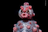 Bali, Indonesien: Zwerg-Seepferdchen machen ihrem Namen alle Ehre: Sie erreichen nur eine Größe von höchstens zwei Zentimetern. Dieses männliche Tier ist zudem schwanger – und wird in etwa zwei Wochen lebende Junge zur Welt bringen