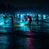 El Limon, Dominikanische Republik: Hunderte Fischer fischen mit Netzen junge Aale, so genannte Glasaale – vor allem für den japanischen Markt. Ein Problem, denn die Aal-Bestände nehmen weltweit rasant ab