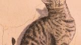 Corella, Spanien: Eiin Gecko tanzt einer – gemalten – Katze auf der Nase herum