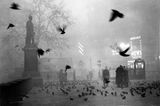 Schwarz-weiß-Foto vom Trafalgar Square in dichtem Nebel