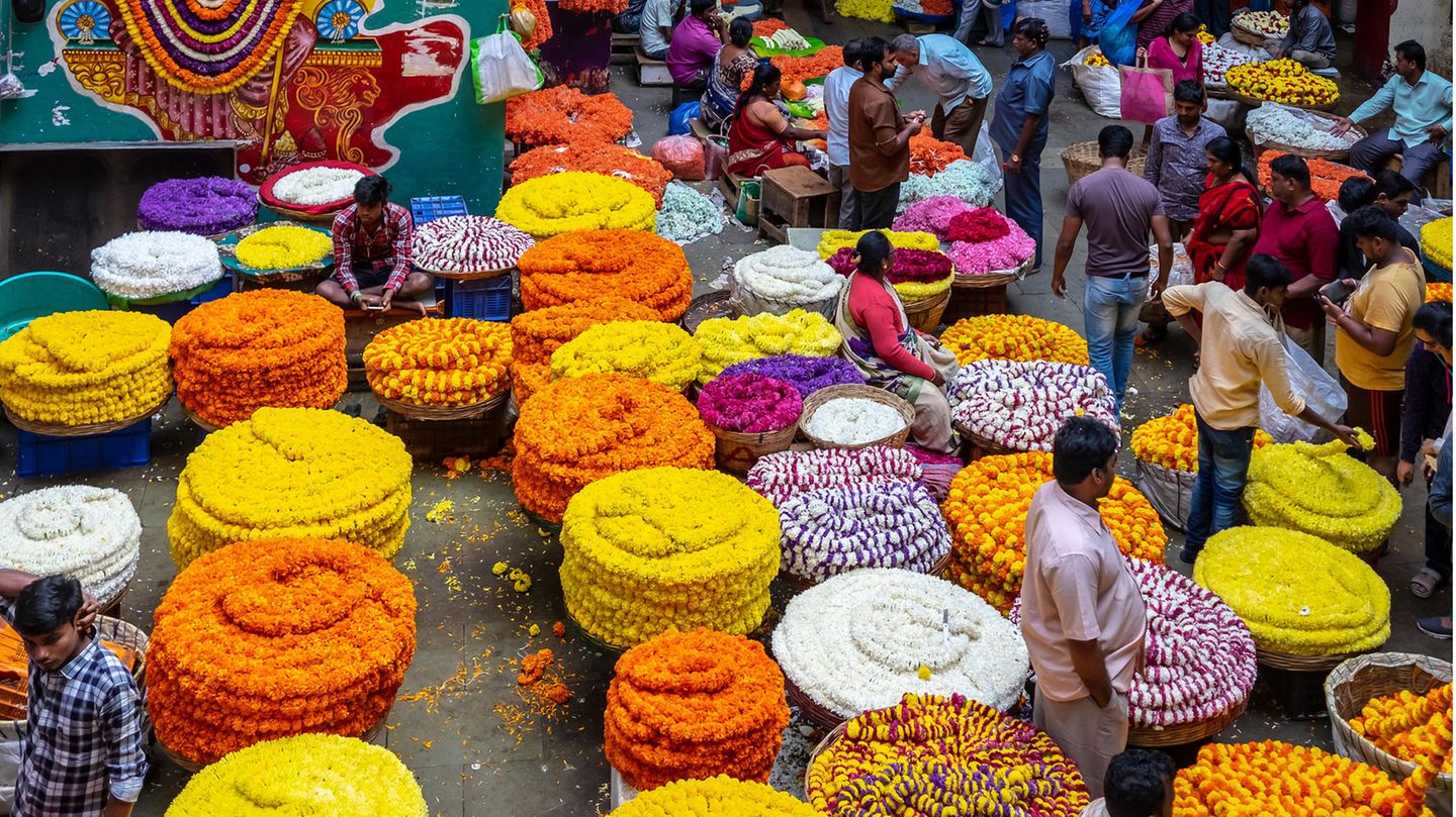 Markt mit frischen Blumen, die in runden Haufen angeordnet sind