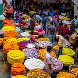 Markt mit frischen Blumen, die in runden Haufen angeordnet sind