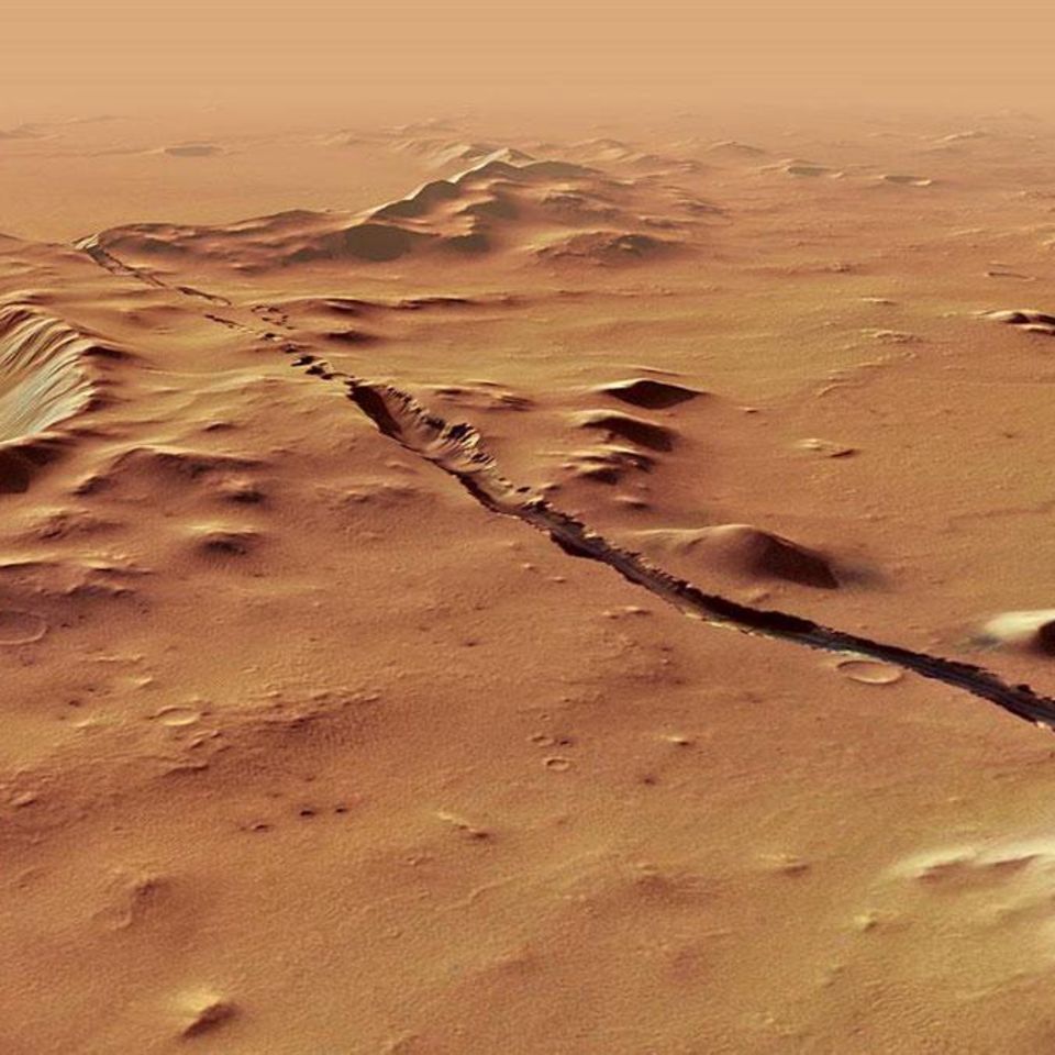 Die Gräben der Cerberus Fossae sind besonders auffällige tektonische Bruchstrukturen auf der Mars-Oberfläche