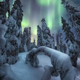 NORTHERN LIGHTS PHOTOGRAPHER OF THE YEAR
