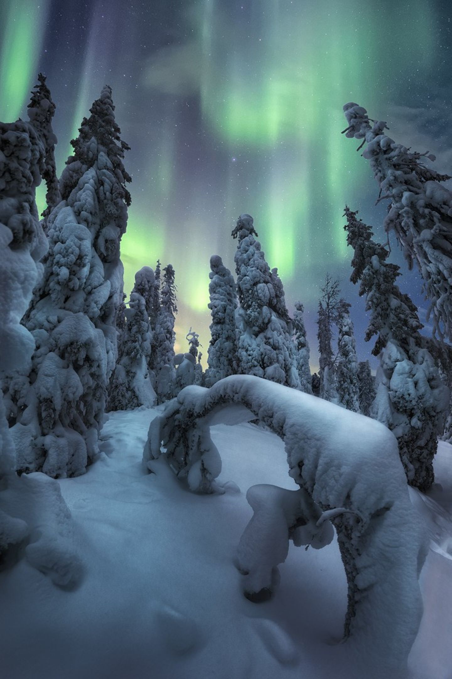 "Geist der Winterzeit" – Finnisch-Lappland NORTHERN LIGHTS PHOTOGRAPHER OF THE YEAR