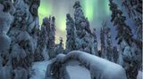 NORTHERN LIGHTS PHOTOGRAPHER OF THE YEAR