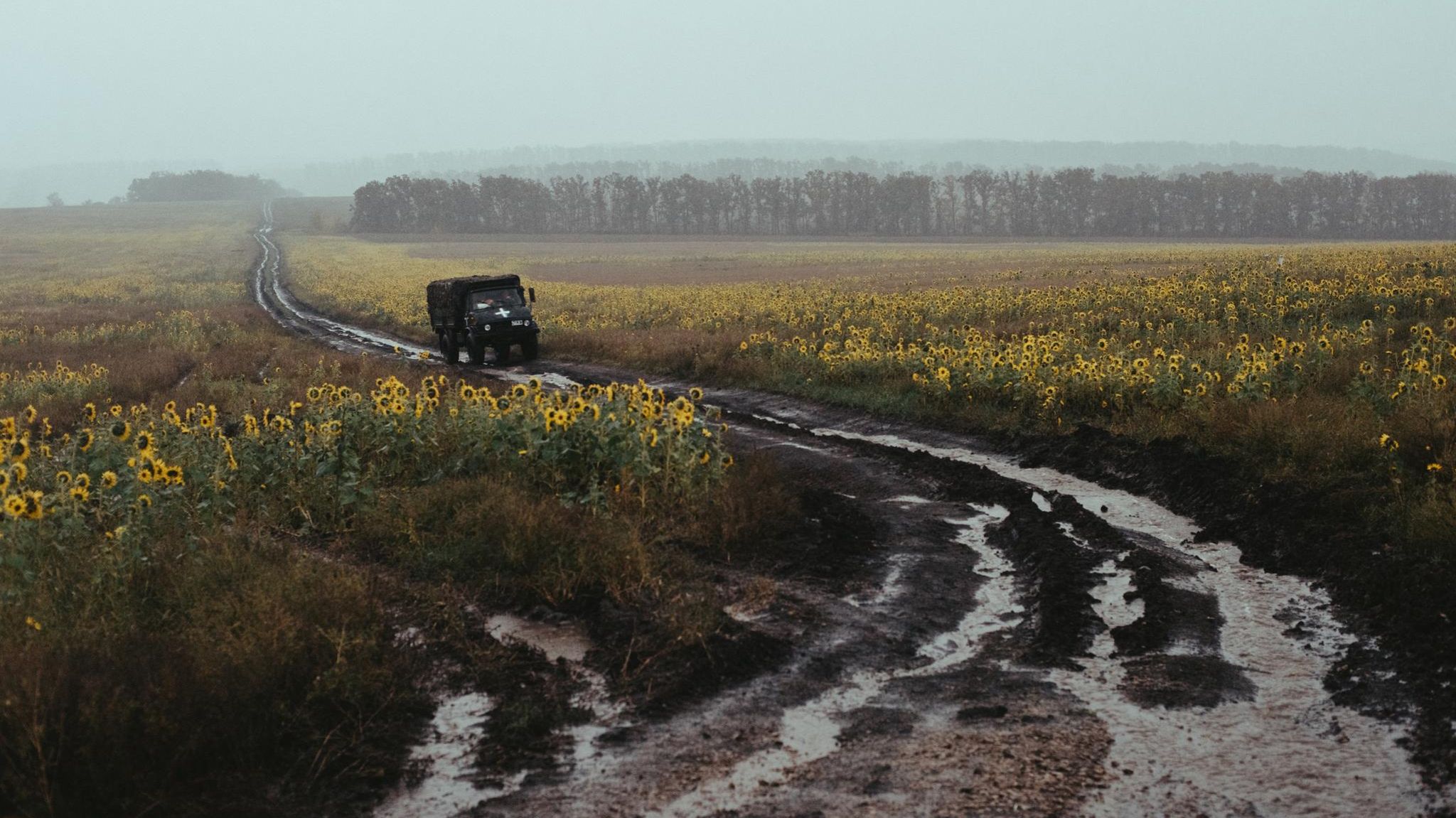 Ein Weg im Nirgendwo, womöglich in Reichweite der russischen Geschütze: Im Feld sind die Männer der "Fracht 200" auf sich gestellt. Warum sie Gefahren auf sich nehmen? Damit die Toten des Krieges würdig bestattet werden können