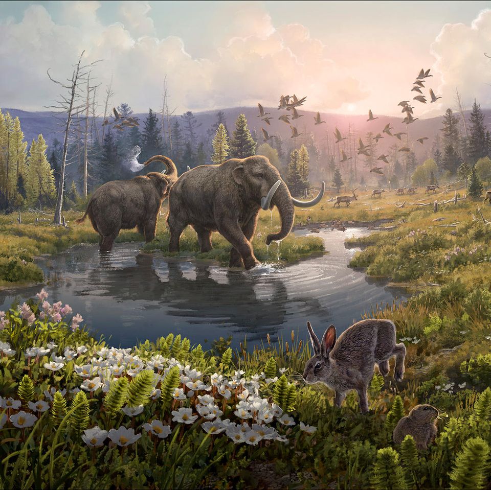 Illustration: Norden Grönlands vor zwei Millionen Jahren