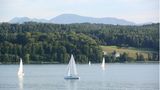 Segelboote in der Abendsonne, Großer Brombachsee