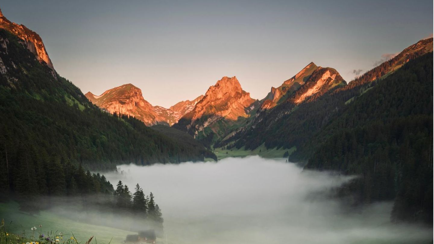 Sämtisersee im Appenzellerland Nebelverhangener Sämtisersee mit einer Blumenwiese im Vordergrund