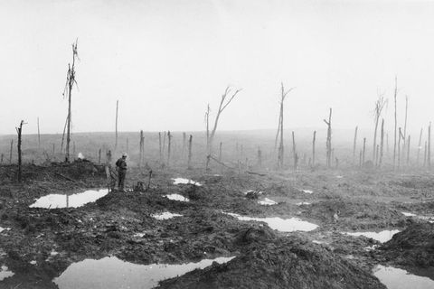 Landschaft nahe Ypern, Belgien, November 1917: Wo nun, nach endlosem Artilleriebeschuss, Krater klaffen und von den Bäumen nur noch Stümpfe übrig sind, reichten sich drei Jahre zuvor Soldaten beider Seiten die Hand und ließen, in weihnachtlichem Innehalten, die Waffen schweigen