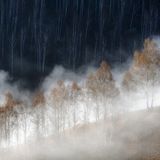 Nature Photographer of the Year 2022