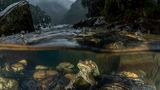 Nature Photographer of the Year 2022