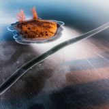 Nature Photographer of the Year 2022