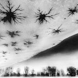 Nature Photographer of the Year 2022