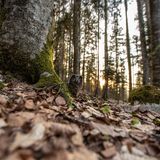 Nature Photographer of the Year 2022