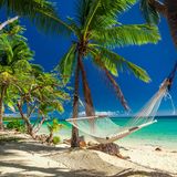 Weißer Sandstrand mit Palmen und Hängematte