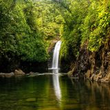 Kleiner Wasserfall in sehr grüner Umgebung