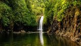 Kleiner Wasserfall in sehr grüner Umgebung