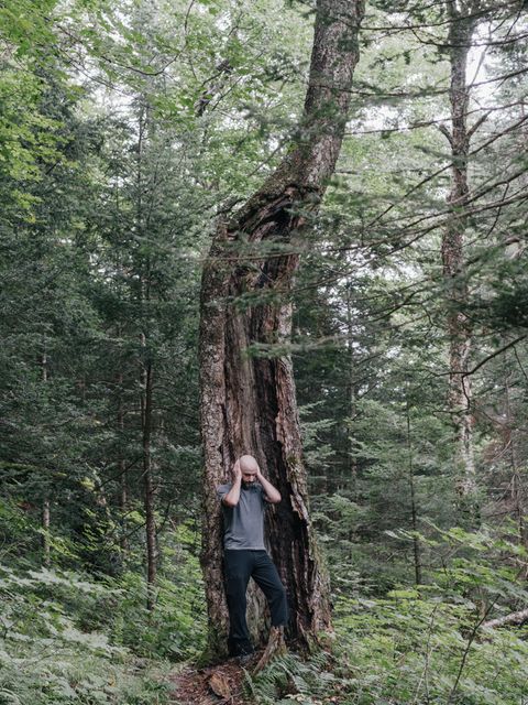 Auf der Suche nach Stille hat sich eine Wandergruppe in die Wälder New Hampshires (USA) aufgemacht. Doch selbst in der Wildnis entkommen die Teilnehmenden nie ganz den Geräuschen der Zivilisation: Flugzeuge dröhnen, Autos rollen über angrenzende Straßen 