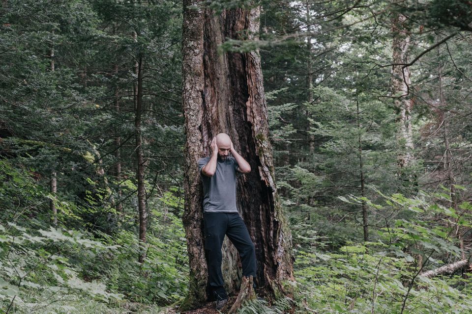Auf der Suche nach Stille hat sich eine Wandergruppe in die Wälder New Hampshires (USA) aufgemacht. Doch selbst in der Wildnis entkommen die Teilnehmenden nie ganz den Geräuschen der Zivilisation: Flugzeuge dröhnen, Autos rollen über angrenzende Straßen 