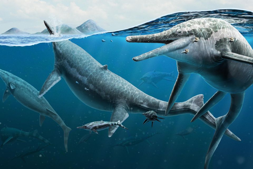 Ichthyosaurier im Wasser
