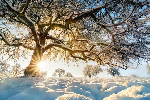 Im Winter ist die Erde der Sonne ganz nah