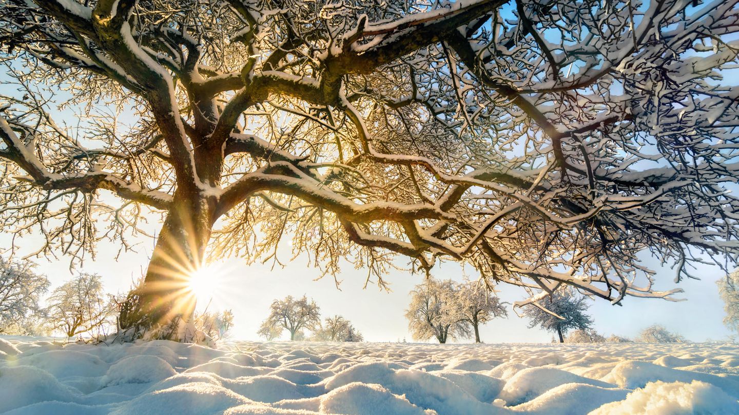Im Winter ist die Erde der Sonne ganz nah