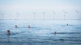 Kopenhagen, Dänemark:  Vor der Kulisse des Middelgrunden Offshore Windparks baden Menschen am Amager Strand. Mit Windkraft werden in dem skandinavischen Land mehr als 14 Prozent des Stroms produziert