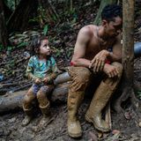 Als in den 1930er Jahren das gigantische Projekt der "Panamericana" in Angriff genommen wurde, eine Straßenverbindung von Alaska bis Argentinien, blieb ein Stück des Weges unvollendet. Und ist es bis heute: das "Darien Gap", eine unwegsame und höchst gefährliche, weil von kriminellen Gangs kontrollierte Urwaldregion im Norden Kolumbiens an der Grenze zu Panama. Genau diese straßenlose Route aber, etwa 100 Kilometer lang, wird seit einiger Zeit von Menschen aus Venezuela genutzt, die aus ihrem zerrütteten Land in die USA gelangen wollen. Es sind inzwischen Hunderttausende, die es versuchen.  Der Fotograf Federico Rios Escobar hat sich für 25 Tage mit auf den Weg gemacht. Und dabei Szenen eingefangen, die auch von einem Drama der Kinder zeugen. Tagelang müssen sie steile Berge überwinden, Flüsse durchwaten, schlammverkrustet an der Hand ihrer Eltern, die oft nur in Sandalen aufbrechen, ohne Zelte, ohne Regenjacken, ohne Taschenlampen, ohne Tabletten, um das Wasser zum Trinken zu desinfizieren, und mit zu wenig Proviant. Neun Tage dauert die Tortur mindestens bis zum ersten Lager auf panamesischer Seite. Und immer wieder traf der Fotograf dabei auf Kinder, eine Sechsjährige darunter, die ihre Eltern verloren hatten. Und auch auf Kinder, die noch die Kraft hatten, ihre Eltern zu trösten. 