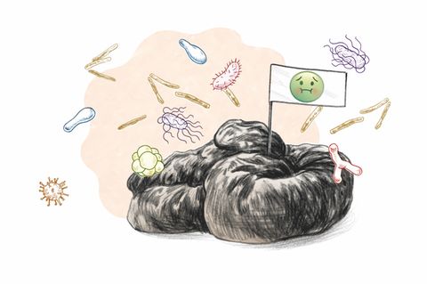 Haufen voll Wissen: Aus den unterschiedlichsten Perspektiven befassen sich Wissenschaftler*innen mit jedem Detail unserer Ausscheidungen